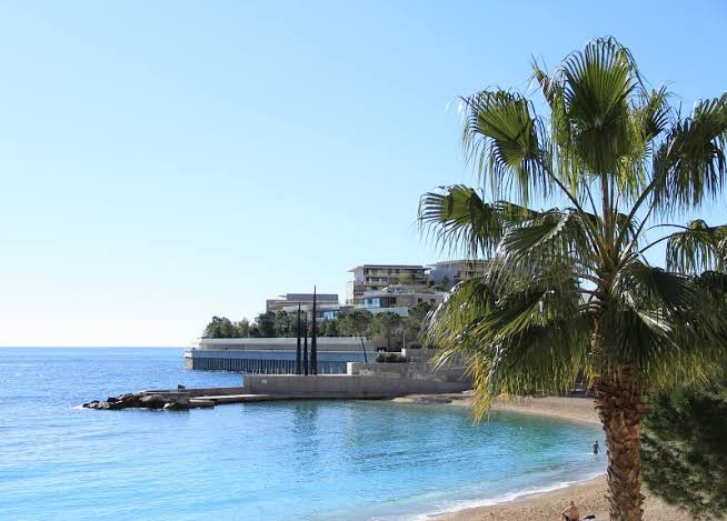 Din Tanovic — a quiet beach in Nice, turquoise water and a single palm
