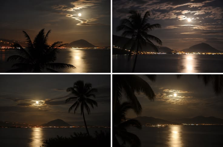 Four frames of moonlit bay with palm silhouettes — from Din Tanovic's travel mood collection
