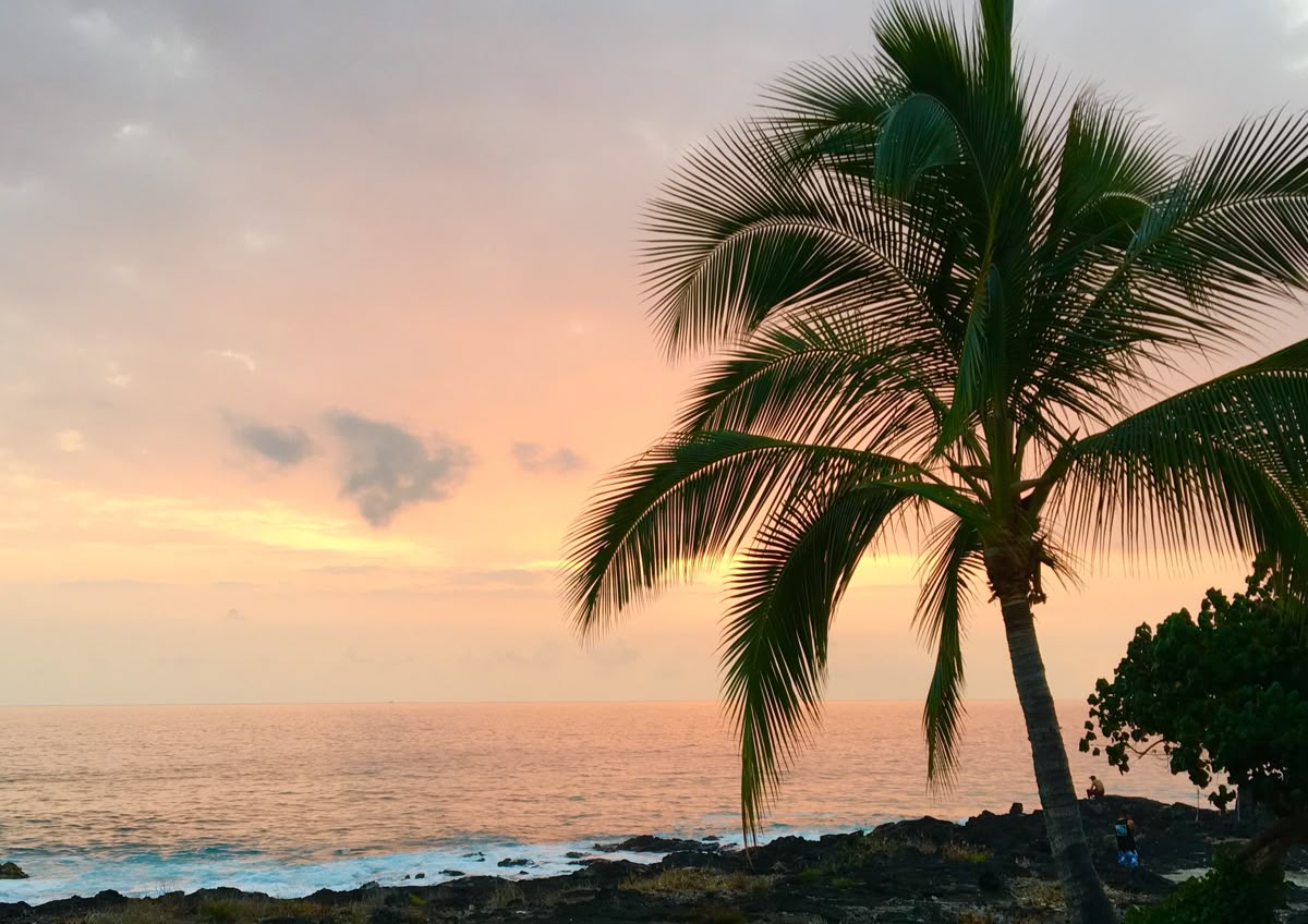 Lone palm at pastel sunset on a Hawaiian shore — from Din Tanovic's travel mood collection