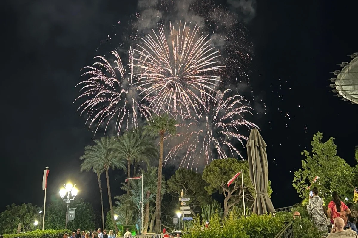 Din Tanovic — fireworks behind palm trees in Monaco during the August festival