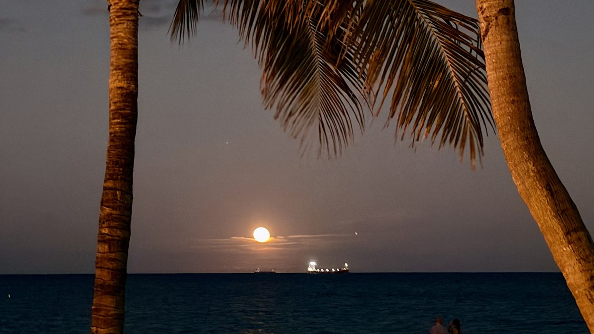 Din Tanovic — full moon rising over a calm night sea with a distant ship on the horizon