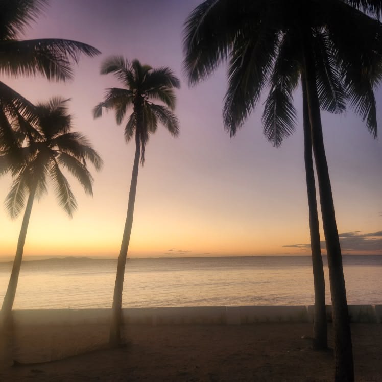 Lavender twilight palms above a still sea — from Din Tanovic's travel mood collection